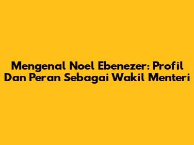 Mengenal Noel Ebenezer: Profil Dan Peran Sebagai Wakil Menteri