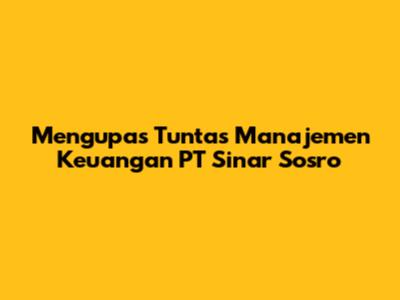 Mengupas Tuntas Manajemen Keuangan PT Sinar Sosro