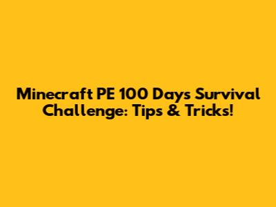 Minecraft PE 100 Days Survival Challenge: Tips & Tricks!