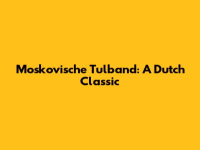 Moskovische Tulband: A Dutch Classic