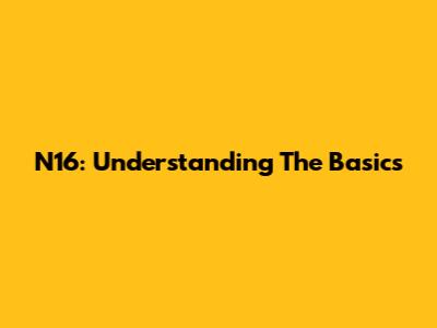 N16: Understanding The Basics