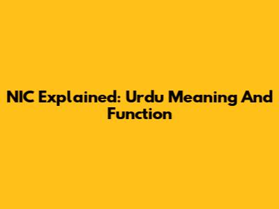 NIC Explained: Urdu Meaning And Function