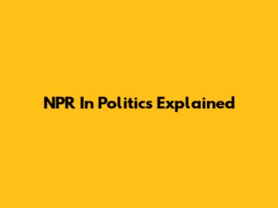 NPR In Politics Explained