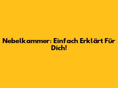 Nebelkammer: Einfach Erklärt Für Dich!