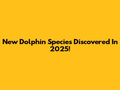 New Dolphin Species Discovered In 2025!
