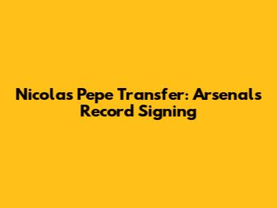 Nicolas Pepe Transfer: Arsenal's Record Signing
