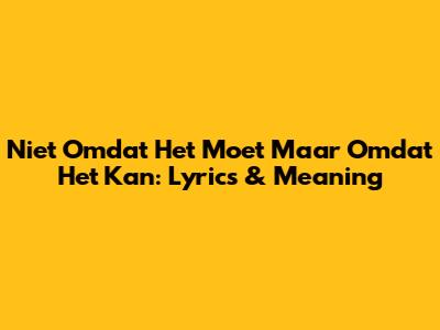 Niet Omdat Het Moet Maar Omdat Het Kan: Lyrics & Meaning