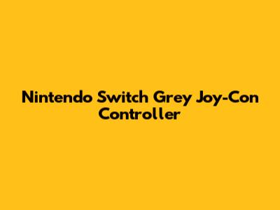 Nintendo Switch Grey Joy-Con Controller