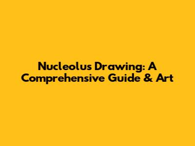 Nucleolus Drawing: A Comprehensive Guide & Art