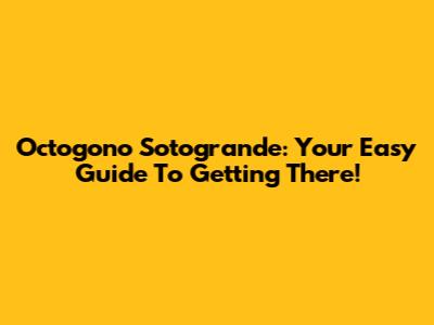 Octogono Sotogrande: Your Easy Guide To Getting There!