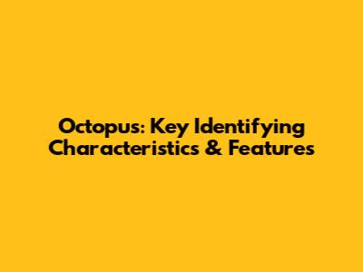 Octopus: Key Identifying Characteristics & Features