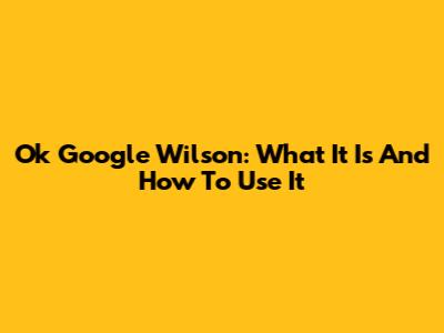 Ok Google Wilson: What It Is And How To Use It