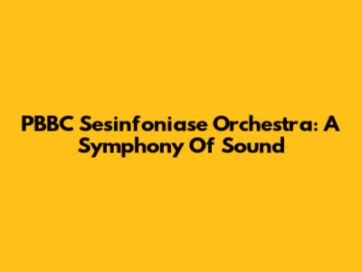 PBBC Sesinfoniase Orchestra: A Symphony Of Sound