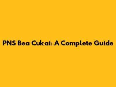 PNS Bea Cukai: A Complete Guide