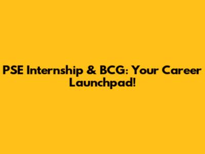 PSE Internship & BCG: Your Career Launchpad!