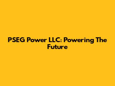 PSEG Power LLC: Powering The Future
