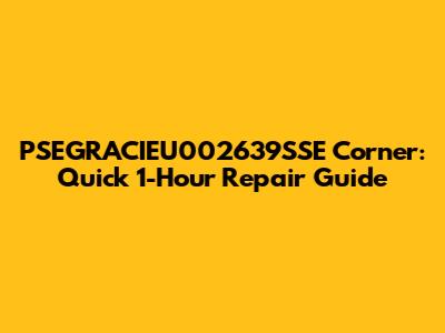 PSEGRACIEU002639SSE Corner: Quick 1-Hour Repair Guide