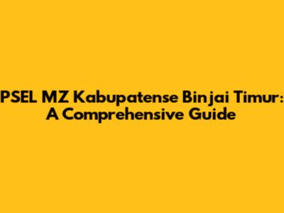 PSEL MZ Kabupatense Binjai Timur: A Comprehensive Guide
