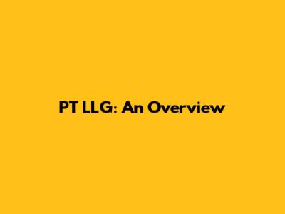 PT LLG: An Overview