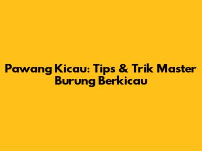 Pawang Kicau: Tips & Trik Master Burung Berkicau