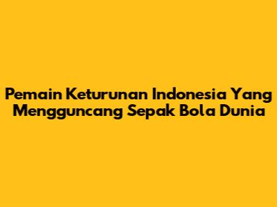 Pemain Keturunan Indonesia Yang Mengguncang Sepak Bola Dunia