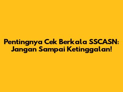 Pentingnya Cek Berkala SSCASN: Jangan Sampai Ketinggalan!