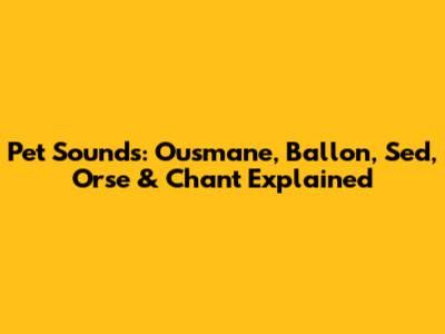 Pet Sounds: Ousmane, Ballon, Sed, Orse & Chant Explained