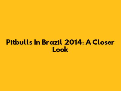 Pitbulls In Brazil 2014: A Closer Look