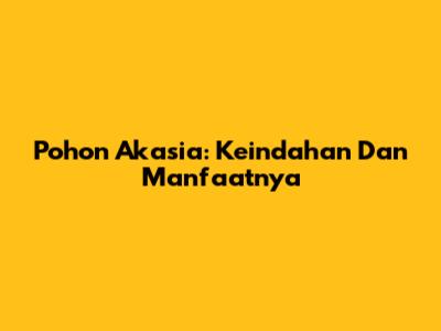 Pohon Akasia: Keindahan Dan Manfaatnya