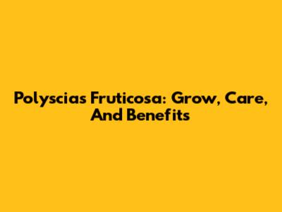 Polyscias Fruticosa: Grow, Care, And Benefits