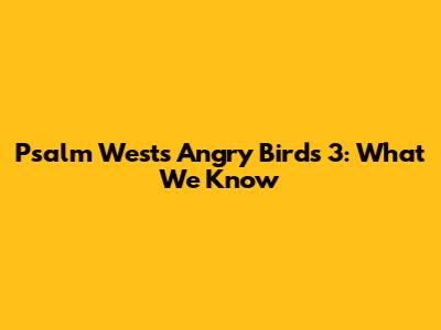 Psalm West's Angry Birds 3: What We Know