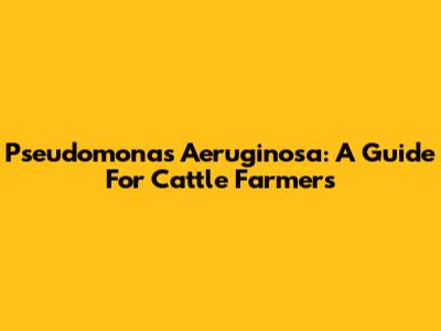 Pseudomonas Aeruginosa: A Guide For Cattle Farmers