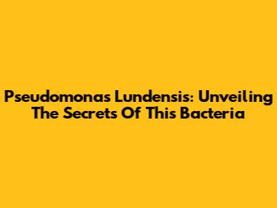 Pseudomonas Lundensis: Unveiling The Secrets Of This Bacteria