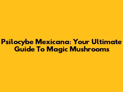 Psilocybe Mexicana: Your Ultimate Guide To Magic Mushrooms