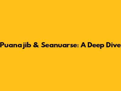 Puanajib & Seanuarse: A Deep Dive