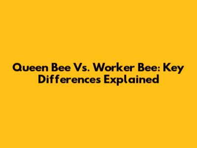 Queen Bee Vs. Worker Bee: Key Differences Explained
