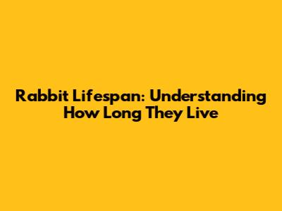 Rabbit Lifespan: Understanding How Long They Live