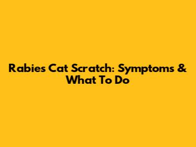 Rabies Cat Scratch: Symptoms & What To Do