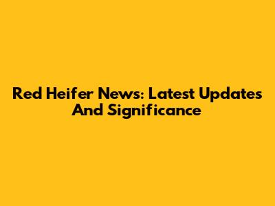 Red Heifer News: Latest Updates And Significance
