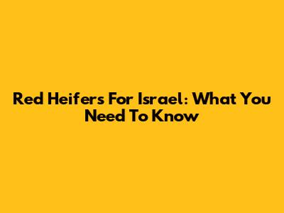 Red Heifers For Israel: What You Need To Know