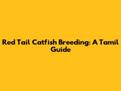 Red Tail Catfish Breeding: A Tamil Guide