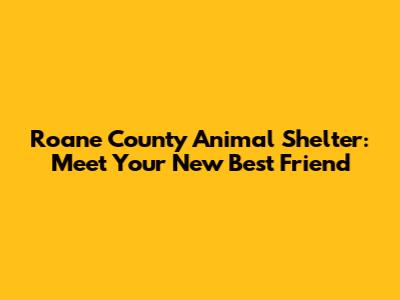 Roane County Animal Shelter: Meet Your New Best Friend