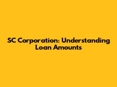 SC Corporation: Understanding Loan Amounts