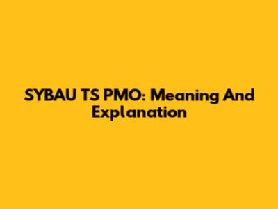SYBAU TS PMO: Meaning And Explanation