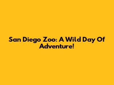 San Diego Zoo: A Wild Day Of Adventure!
