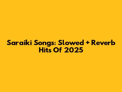 Saraiki Songs: Slowed + Reverb Hits Of 2025
