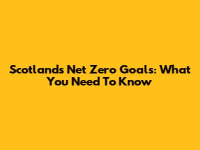 Scotland's Net Zero Goals: What You Need To Know