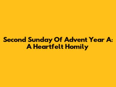 Second Sunday Of Advent Year A: A Heartfelt Homily