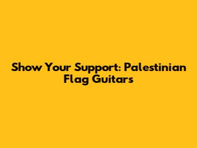 Show Your Support: Palestinian Flag Guitars