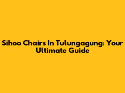 Sihoo Chairs In Tulungagung: Your Ultimate Guide
